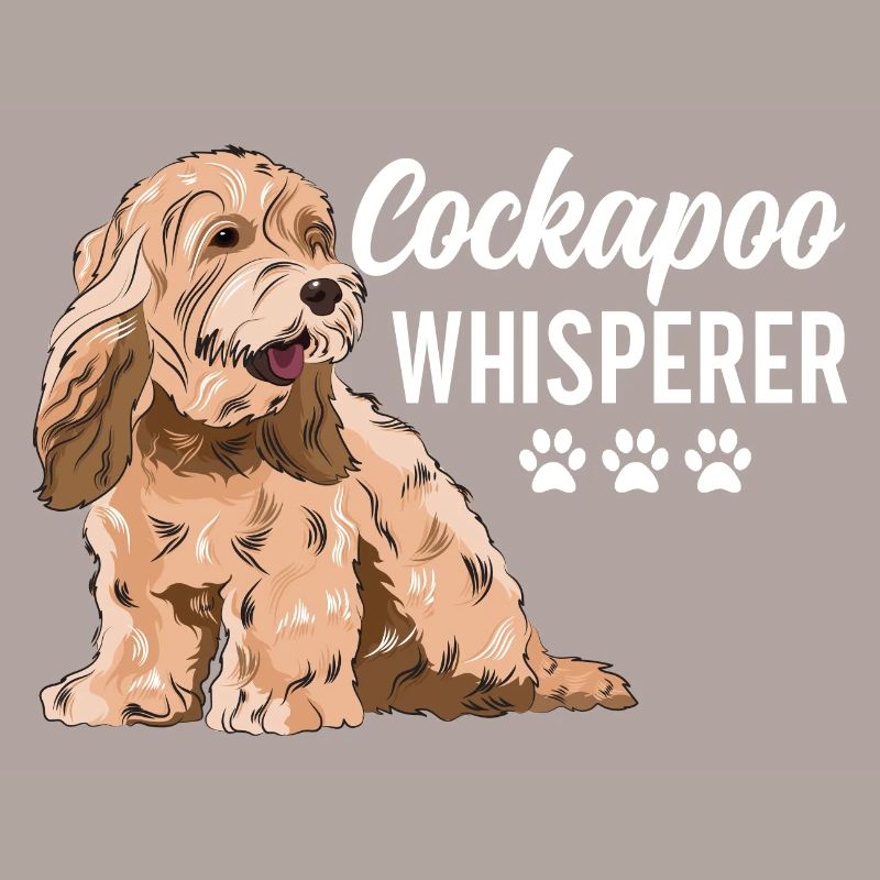 Cockapoo Dog