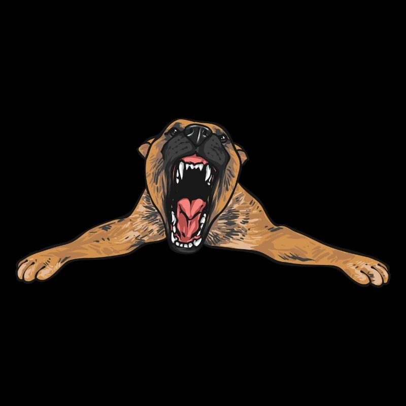 Malinois Belgischer Schäferhund Mechelaar Hund