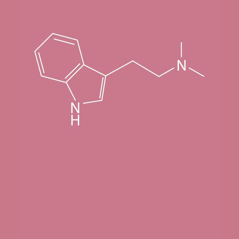 DMT molecule Ayahuasca Dimethyltryptamine