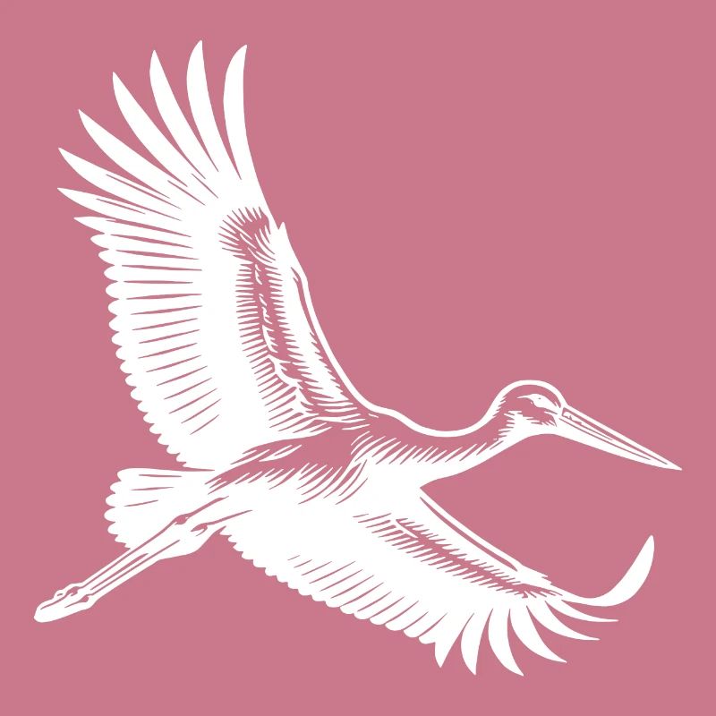 Flying stork in elegant gliding flight