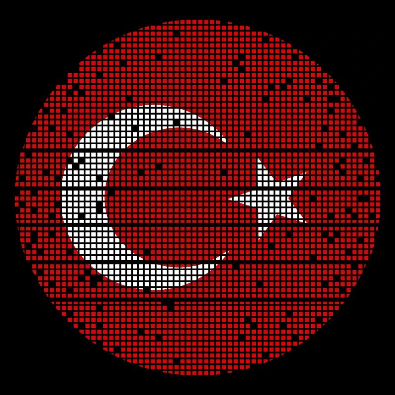 Drapeau de Turquie Utilisé Look Drapeau Turc Vintage