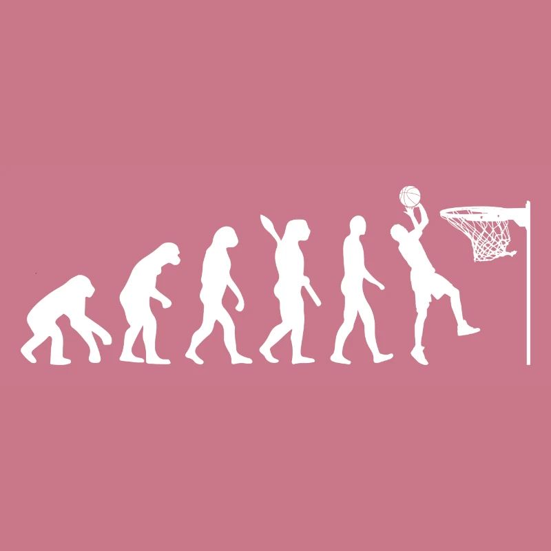 Jeu de basket-ball Evolution