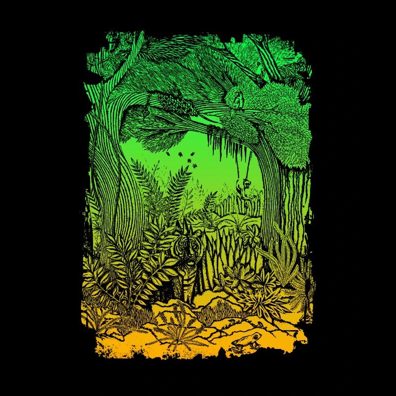 Jungle Rainforest Conservation Amazon