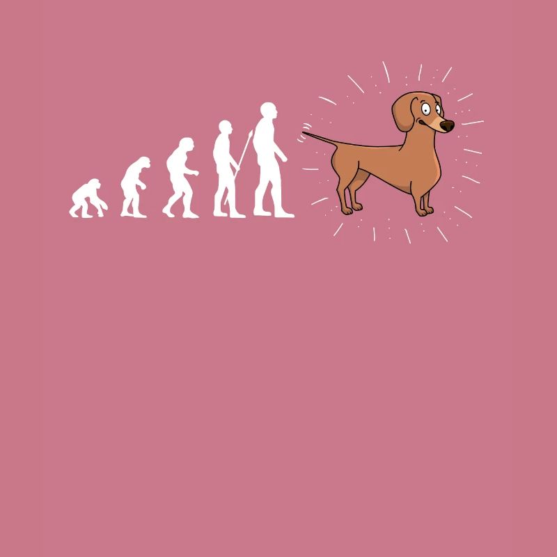 Evolution Dackel Hund Hunde Fun Spaß