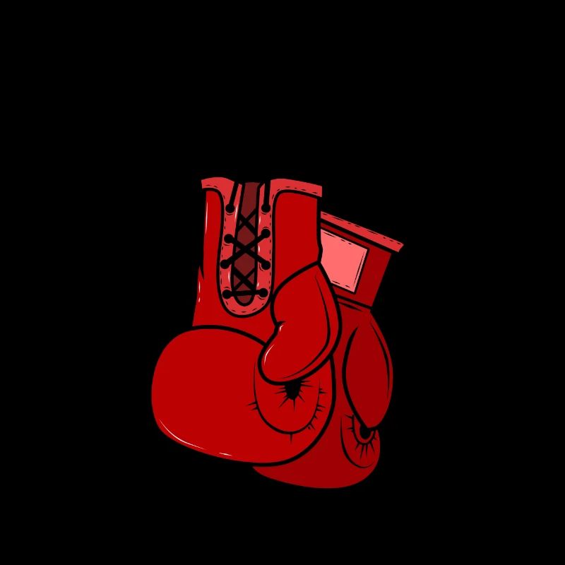 Boxhandschuhe