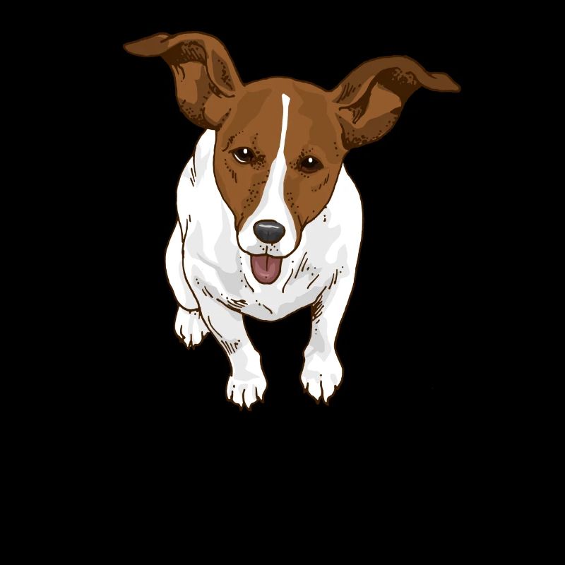 Jack Russel