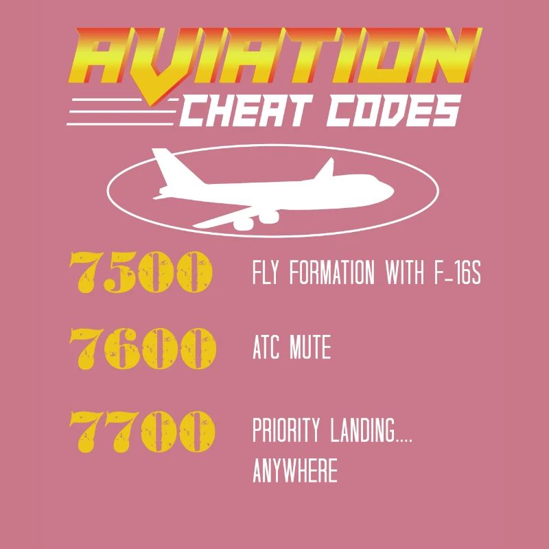 Aviation Cheat Codes Geschenk, Aviation Geschenk,