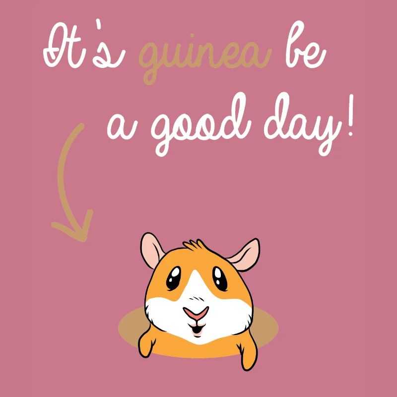 Cochons d'Inde Rosette Cochons d'Inde