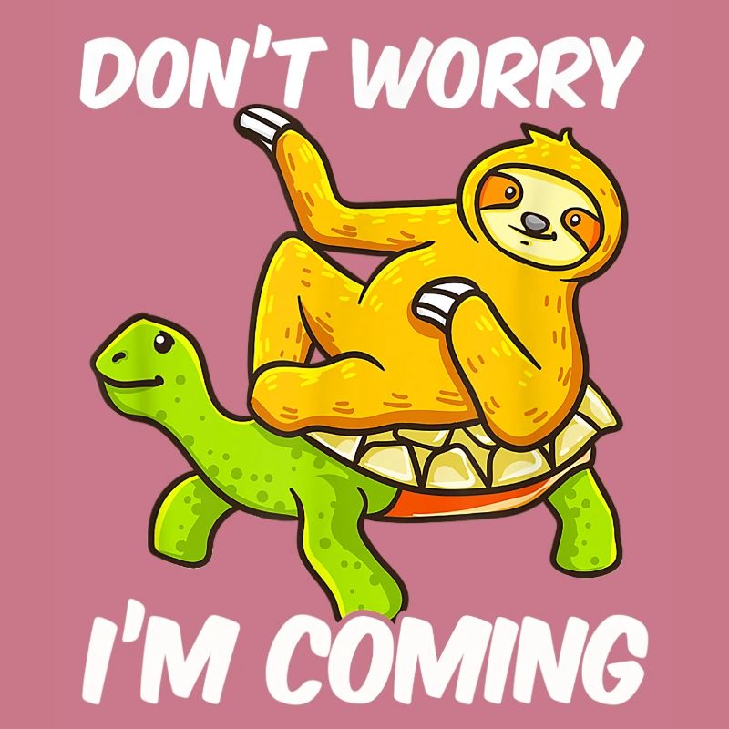 Sloth sloth lazy riding turtle