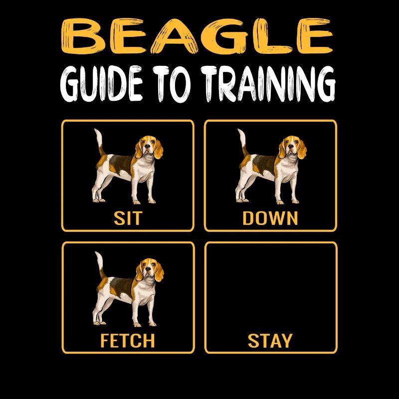 Beagle Guide To Training Dog Obedience