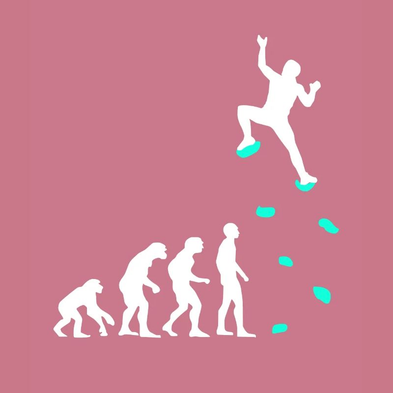 Climbing Evolution Climbing Handles Climbing Wall