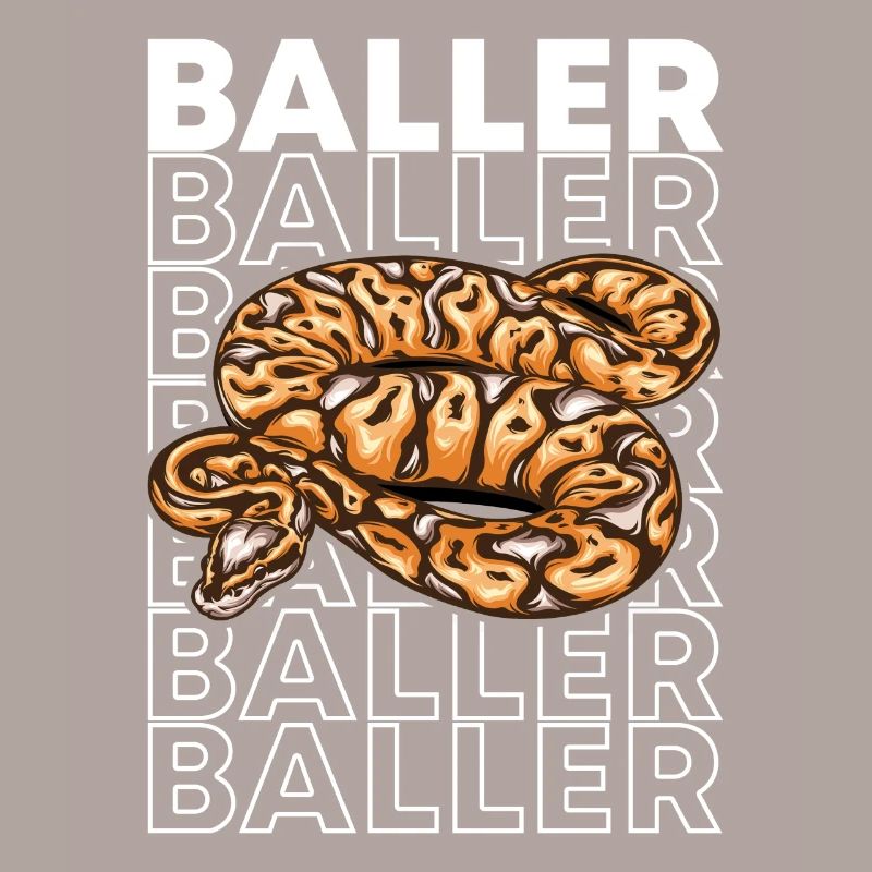 Ball Python 80's Style Baller Royal Python Snake