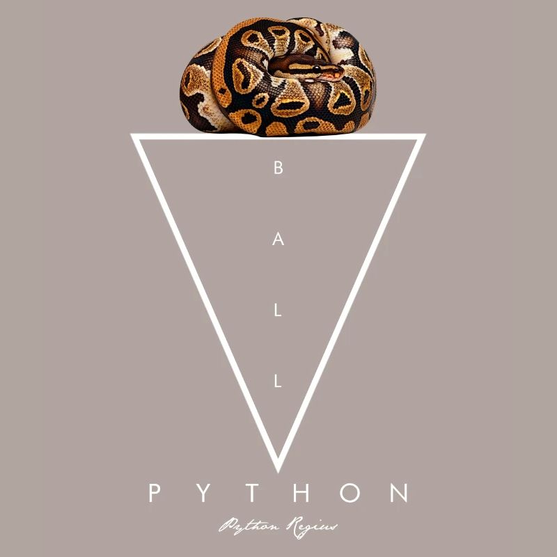 Ball Python Geometric Modern Snake Keeper