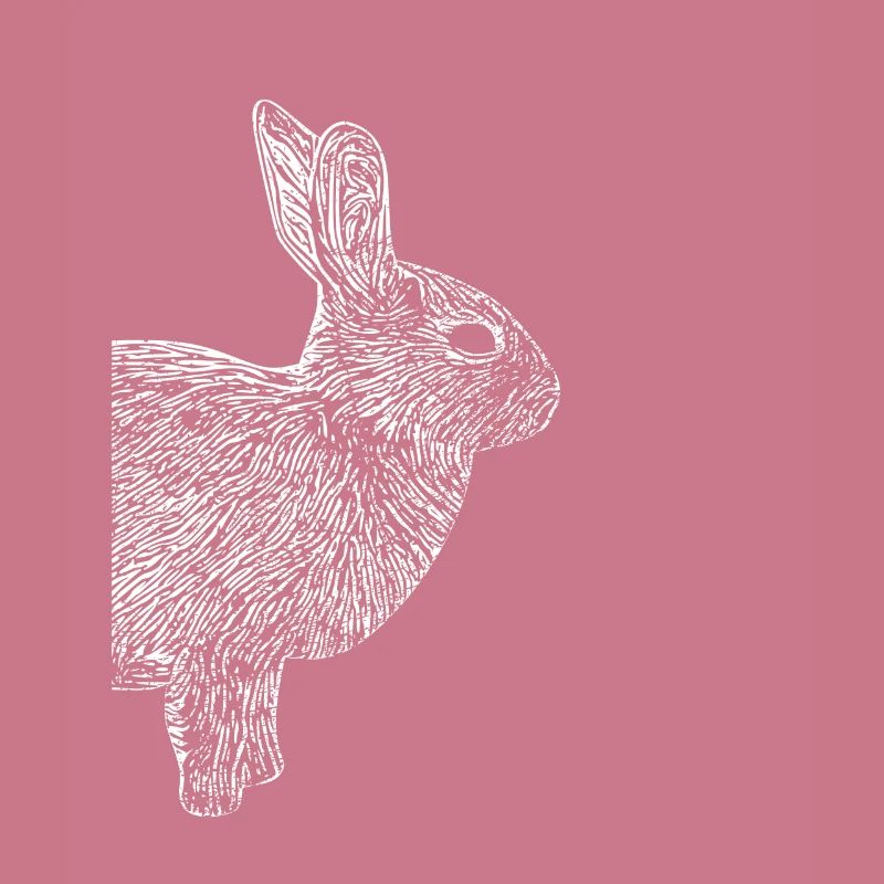 Rabbit Dwarf Rabbit