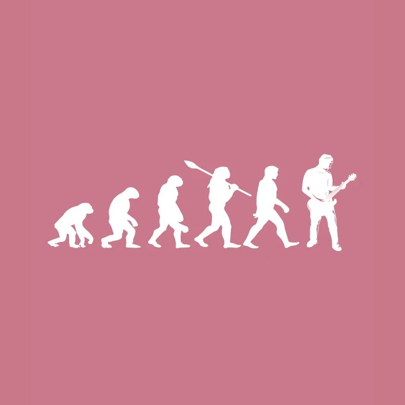 evolution guitariste