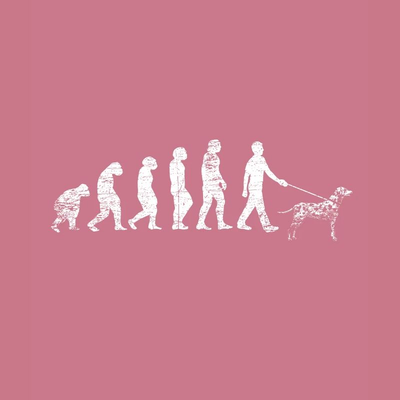 Évolution dalmatien