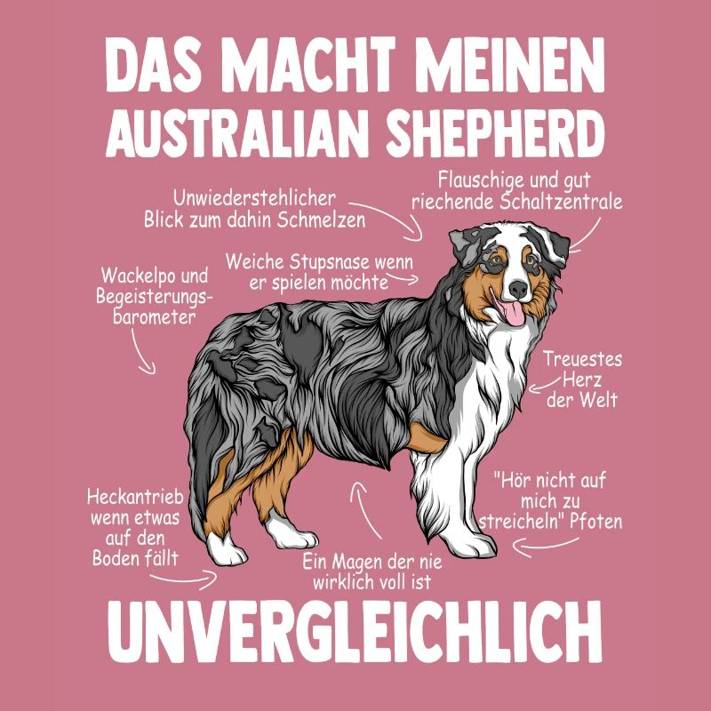 Australian Shepherd Aussie