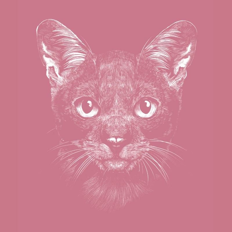 Propriétaire de chat chat