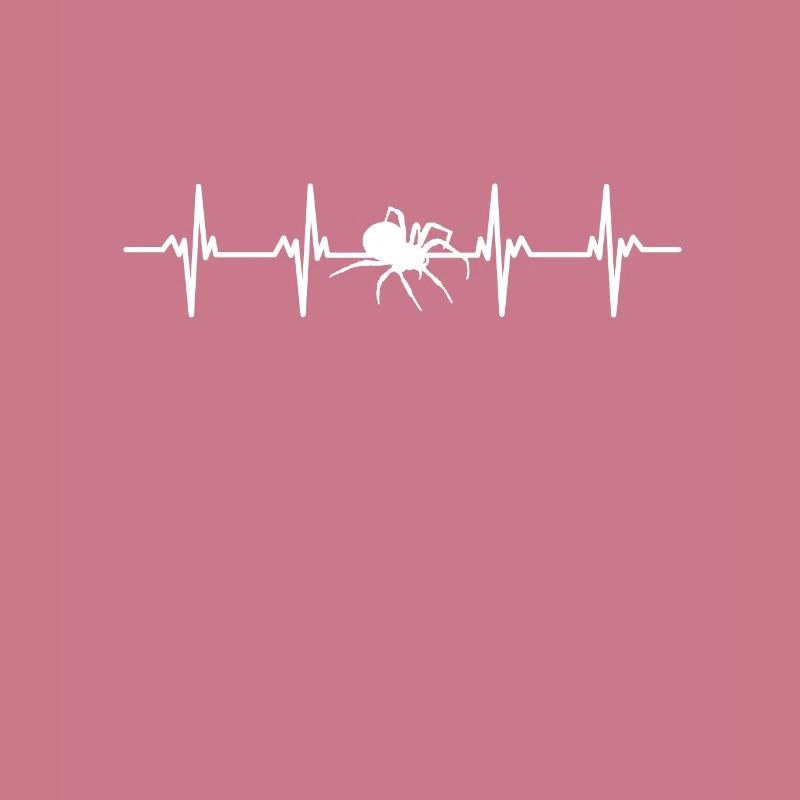 Spiders Spider web web arachnid legs 8 spider