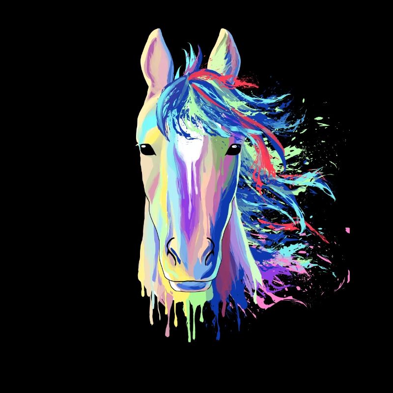 Étalon d'équitation cadeau cheval Splash