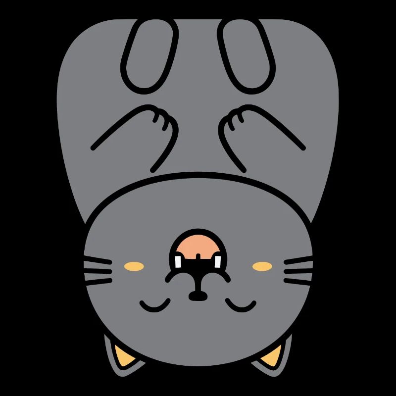Chartreux petit chat