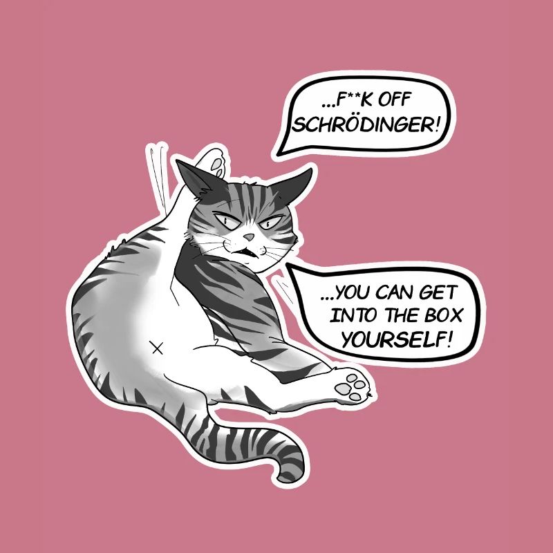 Chat Schrödinger