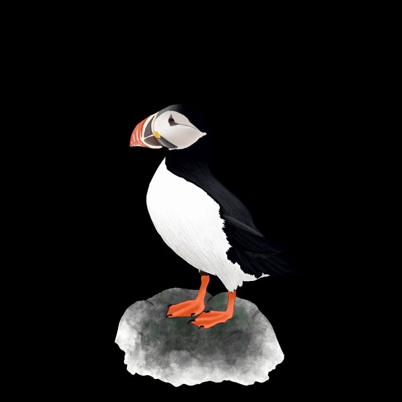 Atlantic puffin