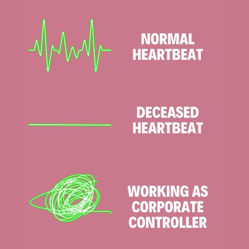 Corporate Controller Worker Funny Controller