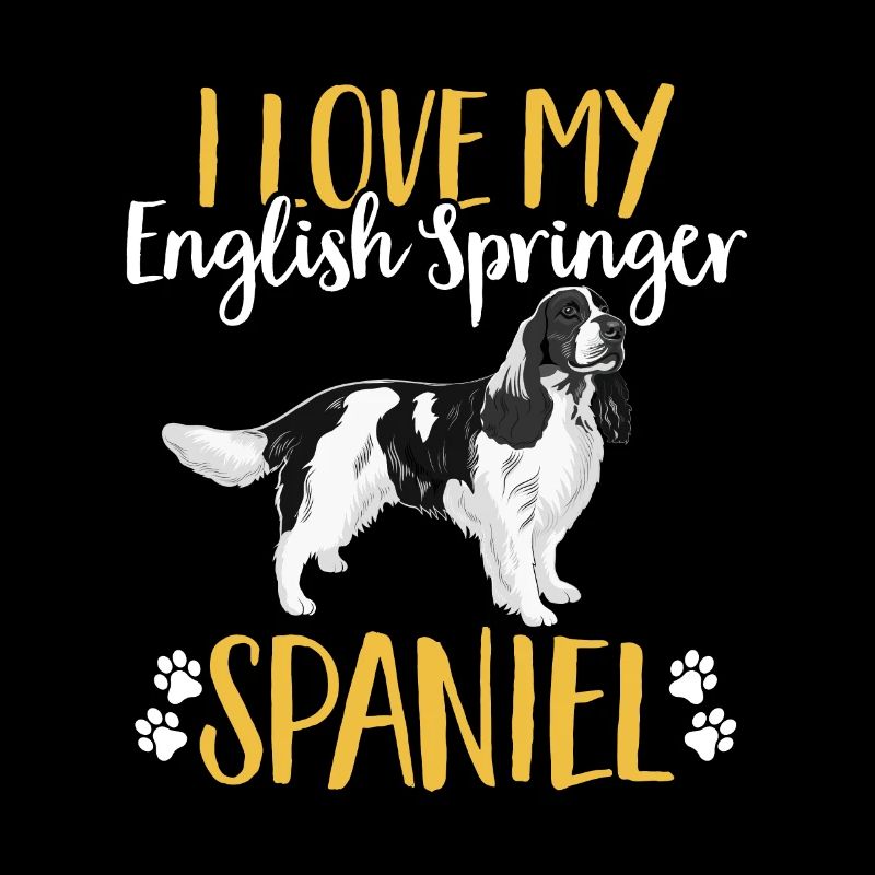 English Springer Spaniel Dog