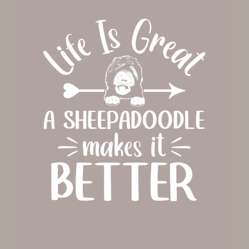 Sheepadoodle Doodle Hund