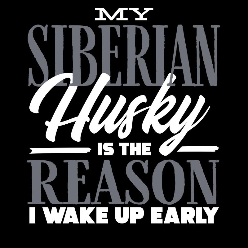 Husky sibérien