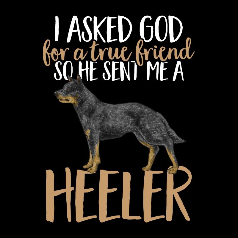 Bouvier australien Red Blue Heeler