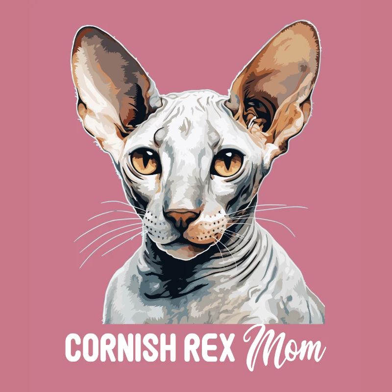 Cornish Rex Kätzchen Cornish Rex Katze