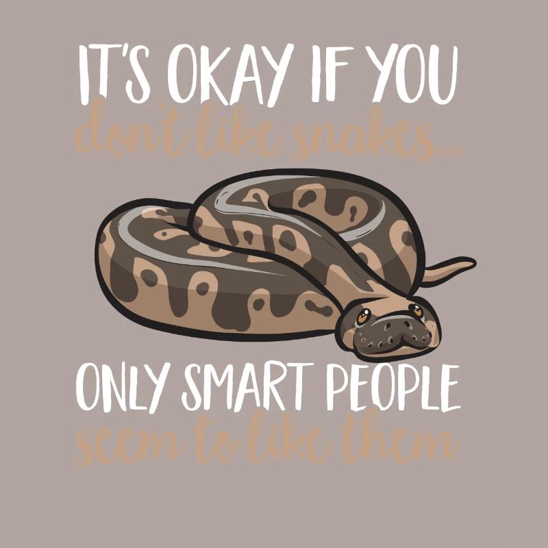 Ball Python Snake King Python