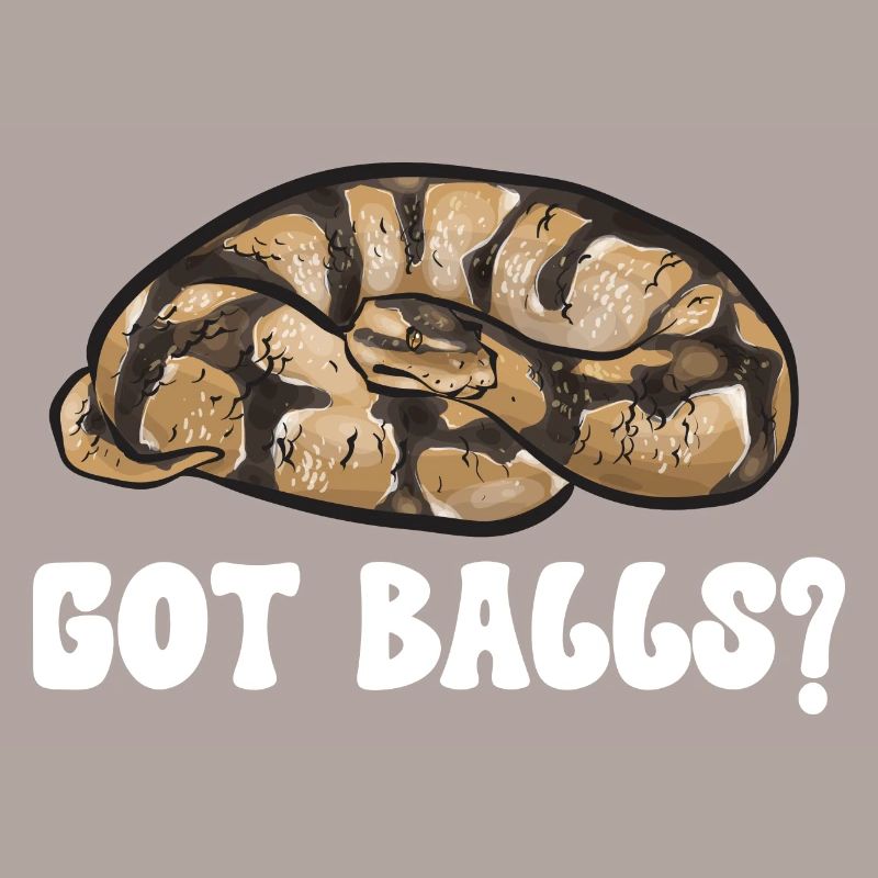 Ball Python Snake King Python