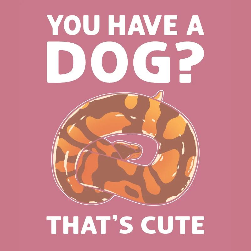 Avez-vous un chien? Mignon! Royal Python