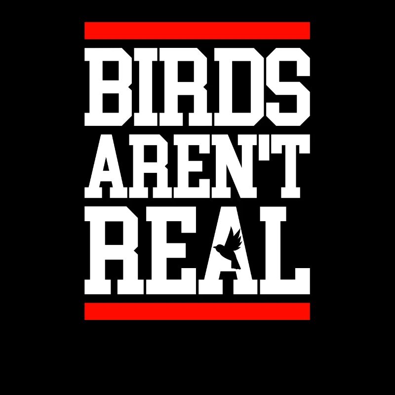 Birds aren't real Demonstration