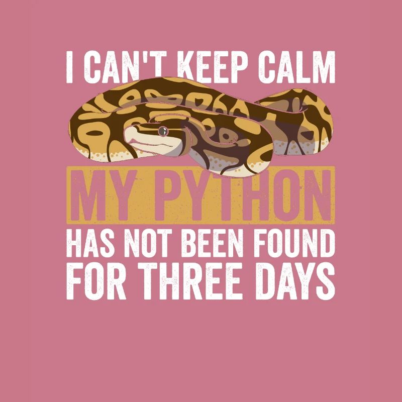 Königspython Bananenkugel Python