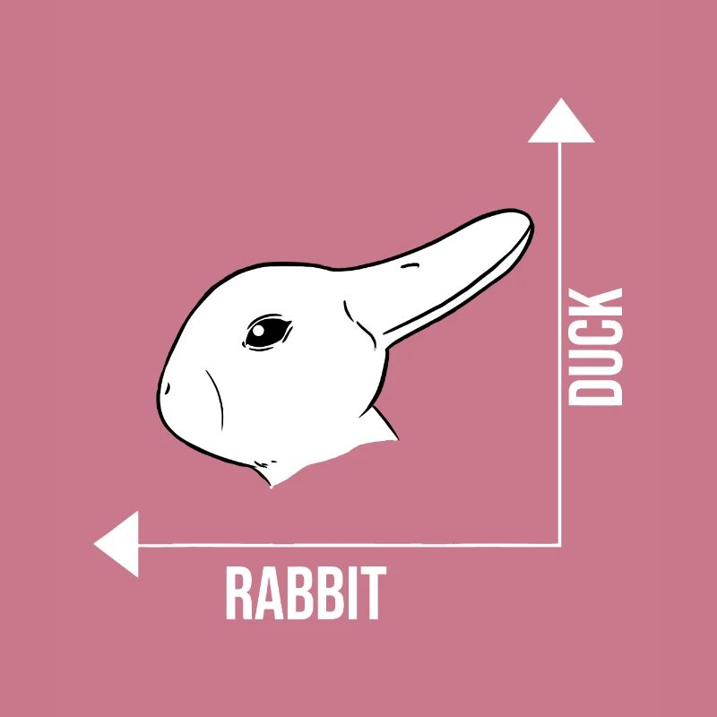 Rabbit Duck Graph Math Ostern