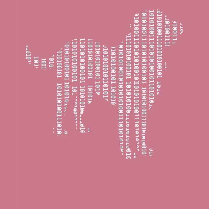 Informaticien Chien Admin Programmeur