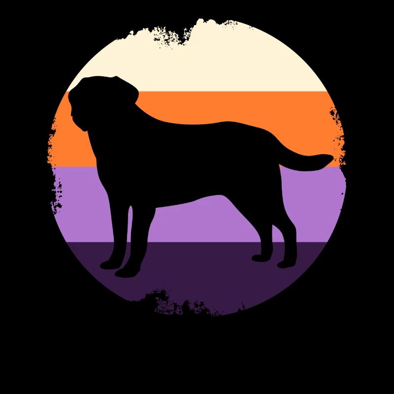 Labrador Retriever Chien rétro
