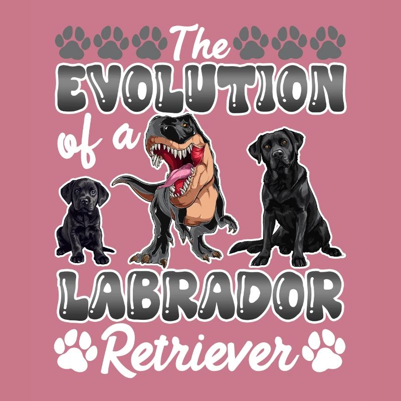 Hundebesitzer DIE EVOLUTION EINES LABRADOR