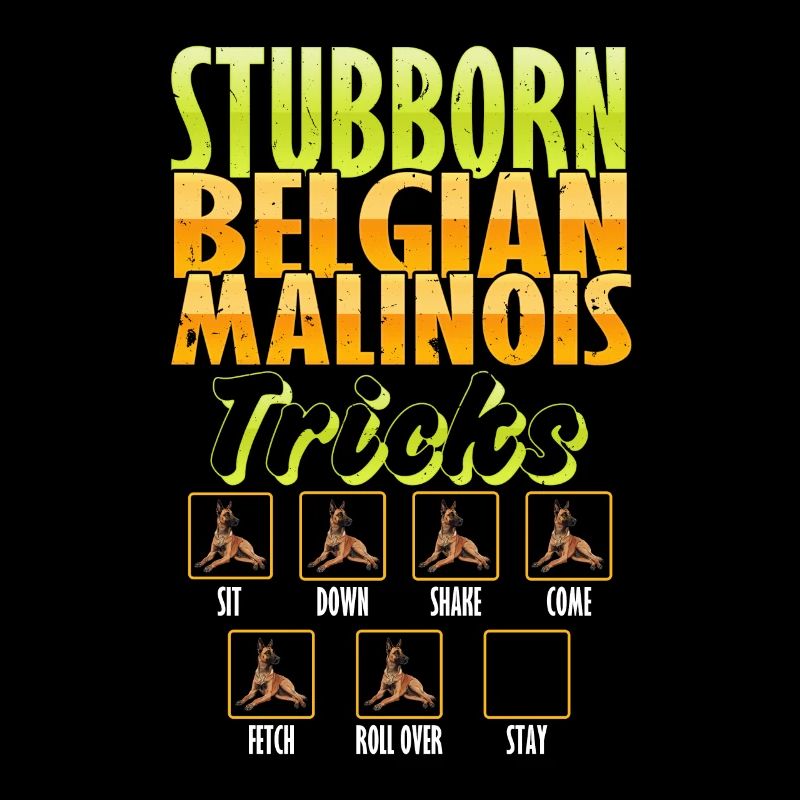 Belgian Shepherd STUBBORN BELGIAN MALINOIS