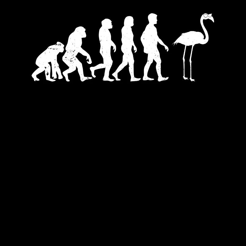 Flamant rose Evolution Flamingo