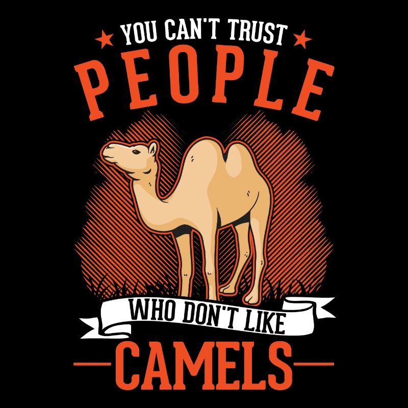 Kamel Dromedar Ägypten Geschenk Großkamel