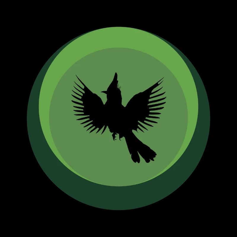 Calopsitte Oiseau Calopsitte