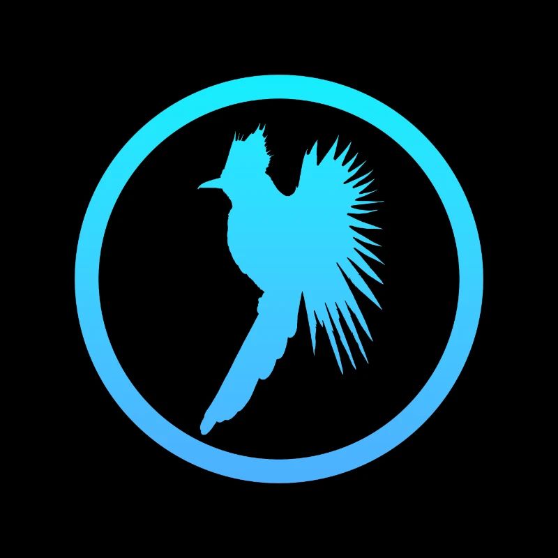 Bird Cockatiel Flying