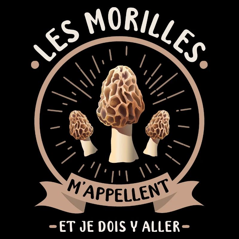 Morille Champignon Cueillette Morilles Champignons