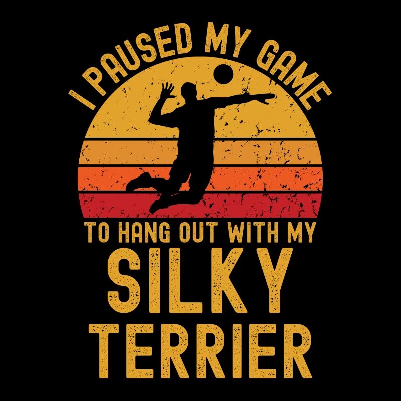 Volleyball et Silky-Terrier