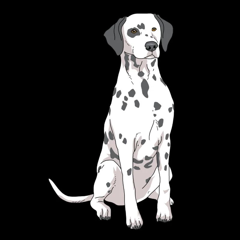 Dalmatiner Hund